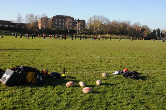 Hornets vs. Sunday Morning