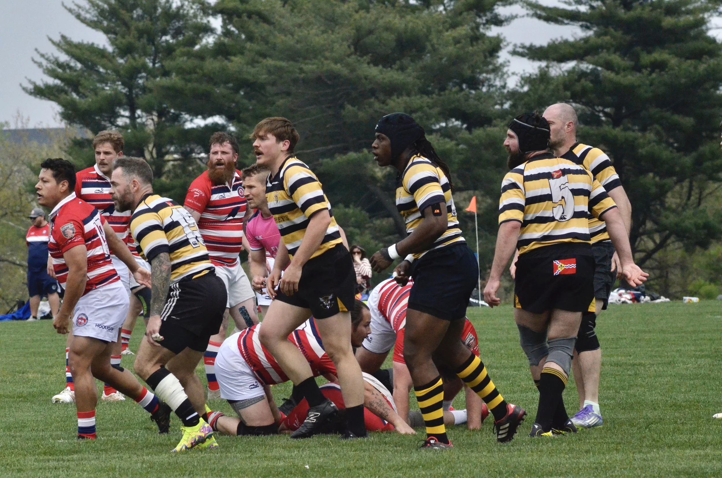 _DSC9870.JPG