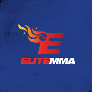 elite MMA logo.png