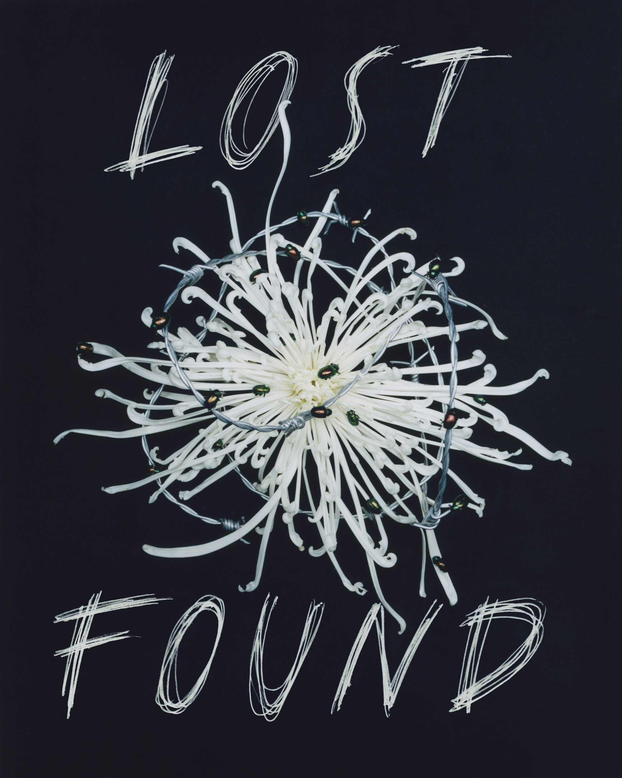 COVER.jpg