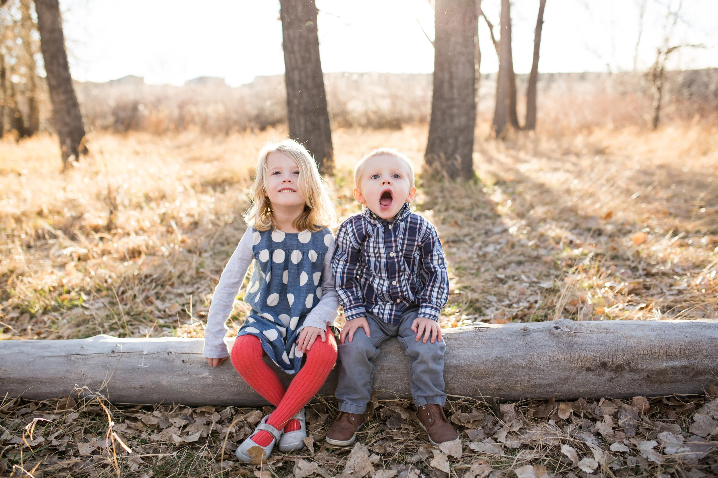 PowellFamily31.jpg
