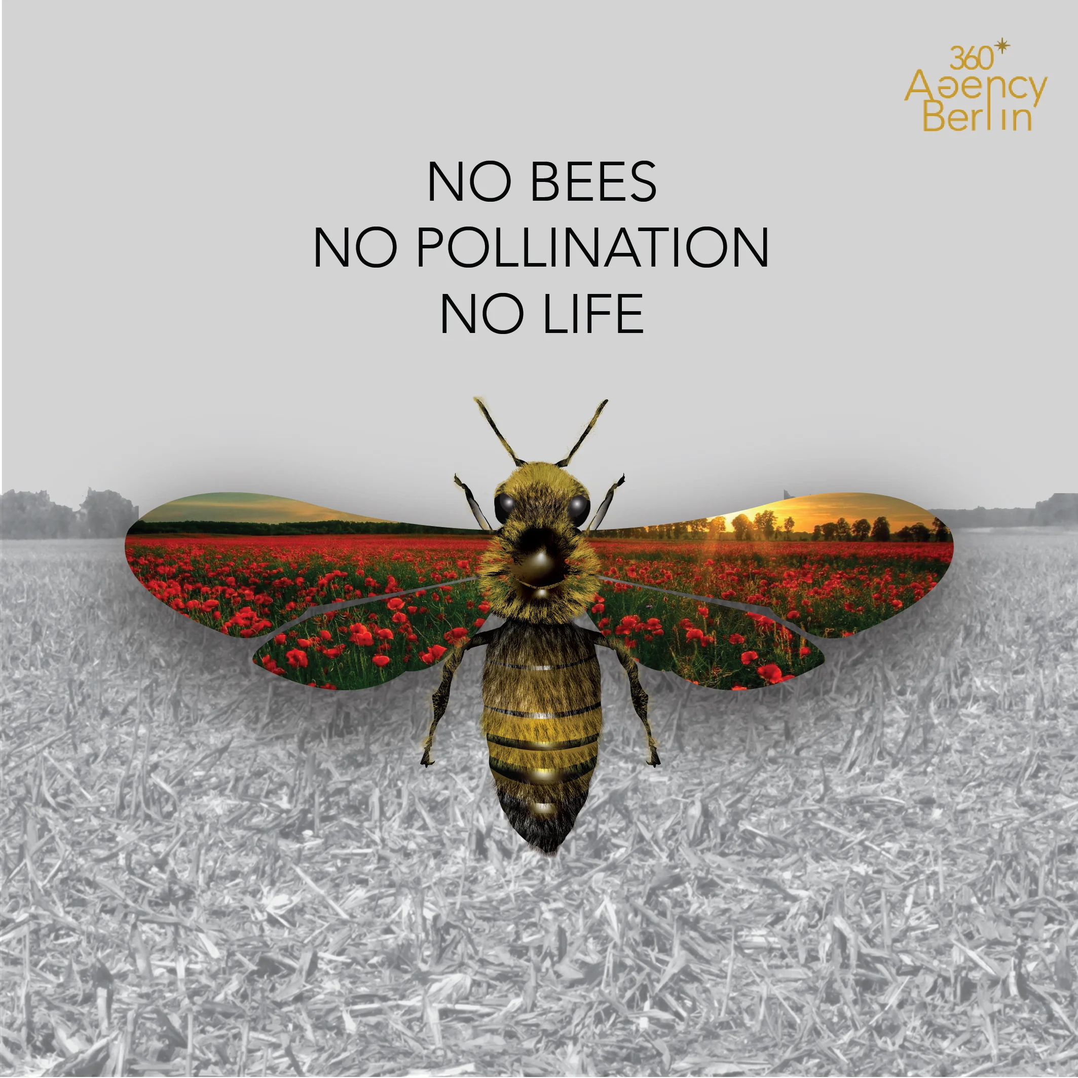 bee1-01.jpg