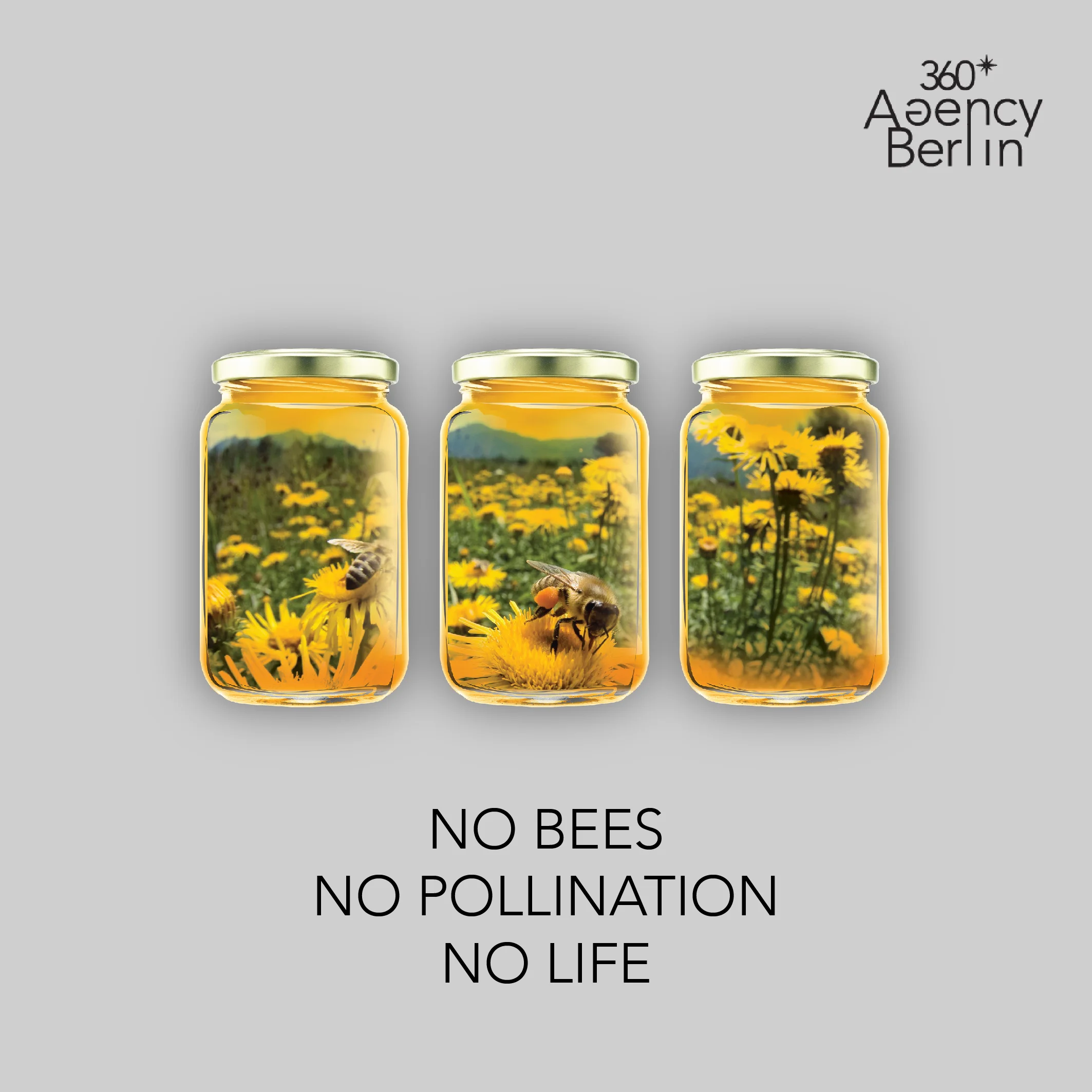 bee2-01.jpg