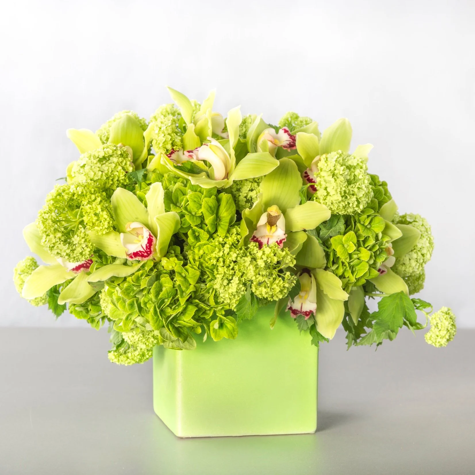 Hens+and+Chicks+Floral+Realness+02.jpg