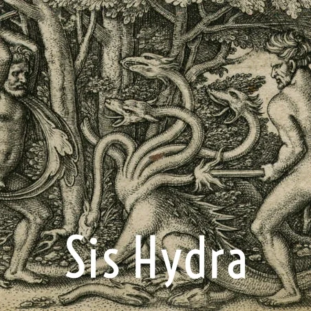 800px-hercules_slaying_the_hydra.jpg