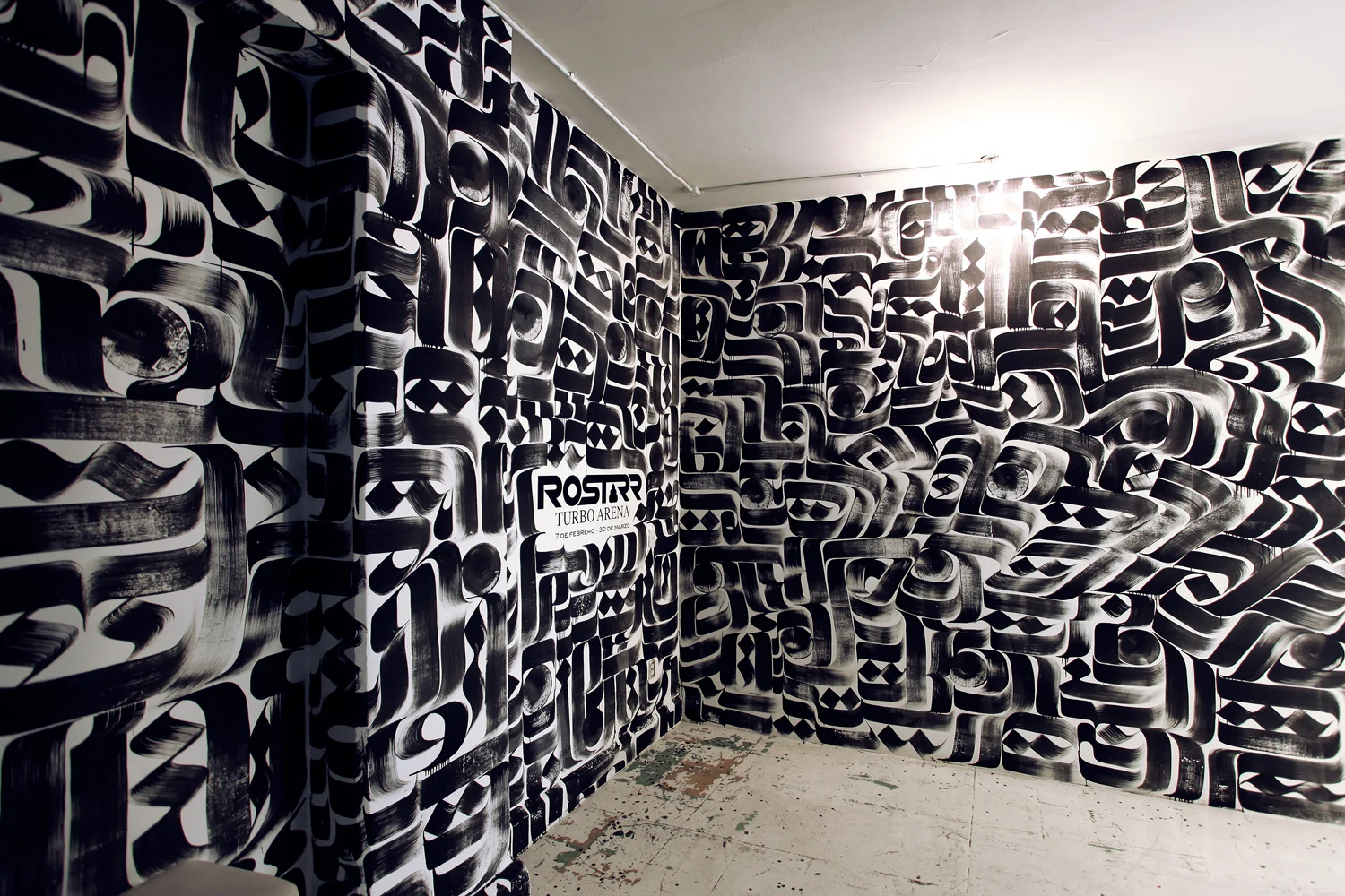 Installation view, Turbo Arena , Anonymous Gallery , Mexico City, Mexico, 2013