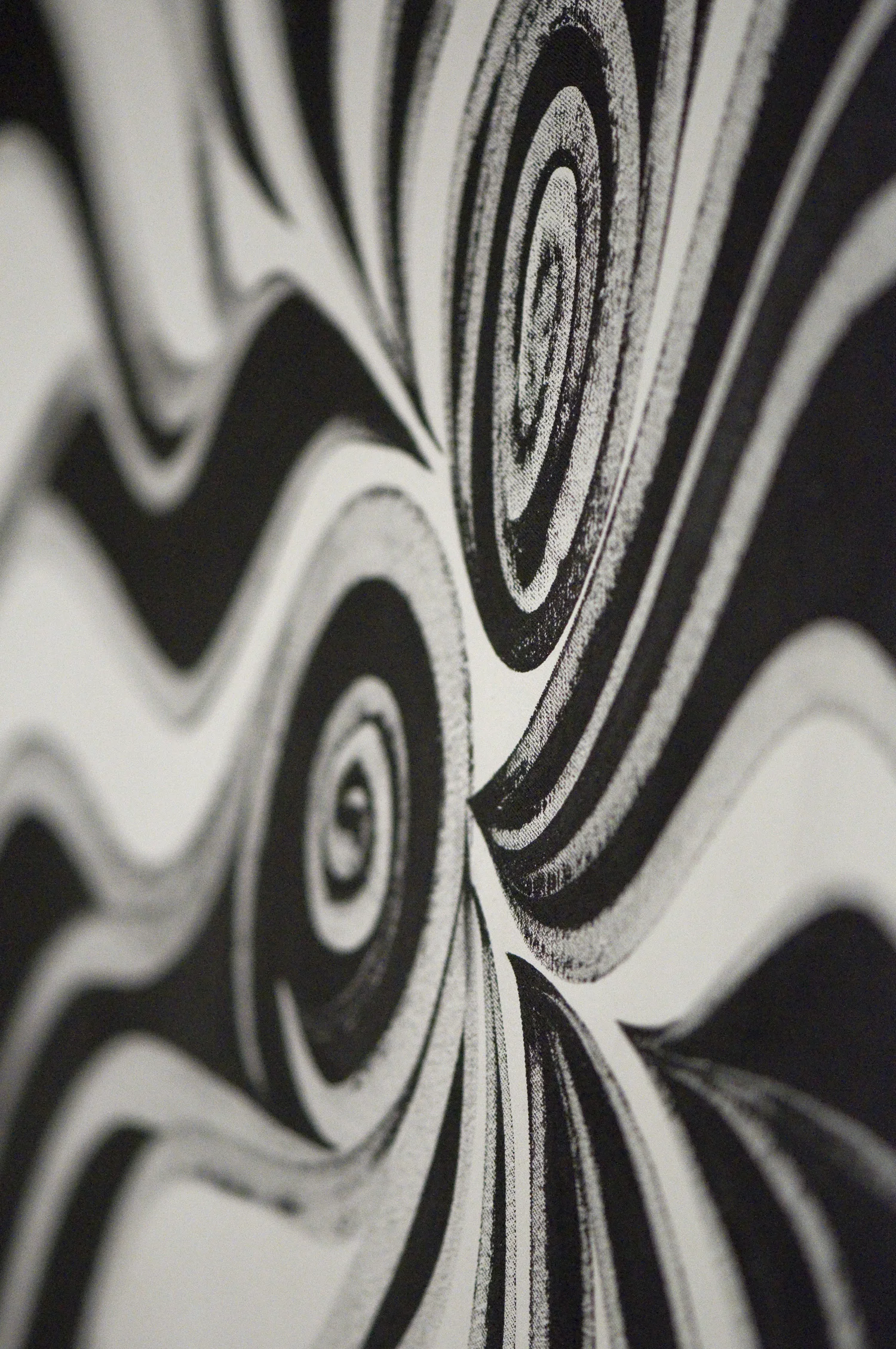 Orchis Militaris IV, detail, 2008