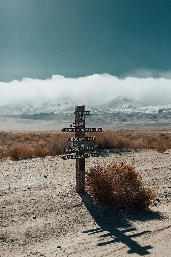 Lone_Pine_Eureka_Dunes_Alabama_Hills_0038.jpg