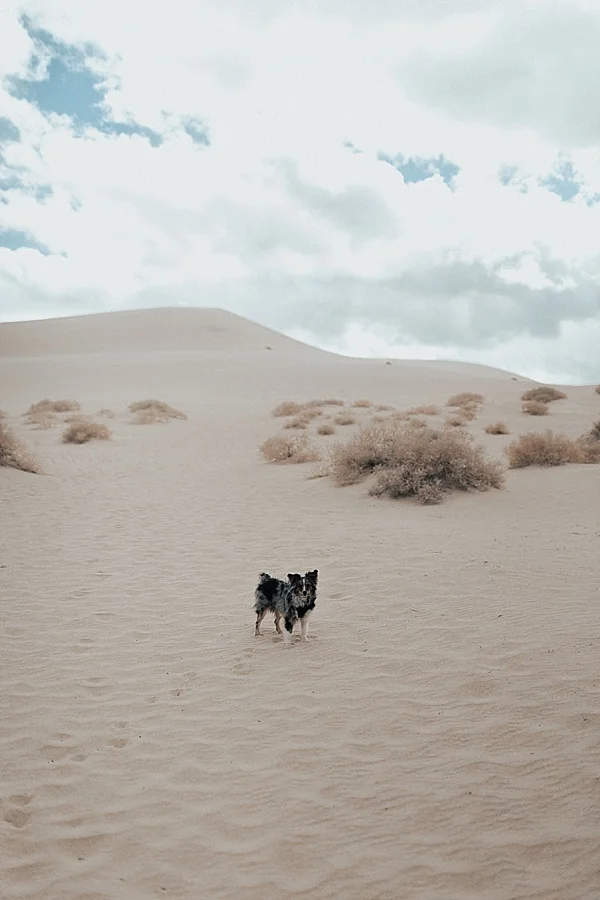 Lone_Pine_Eureka_Dunes_Alabama_Hills_0026.jpg