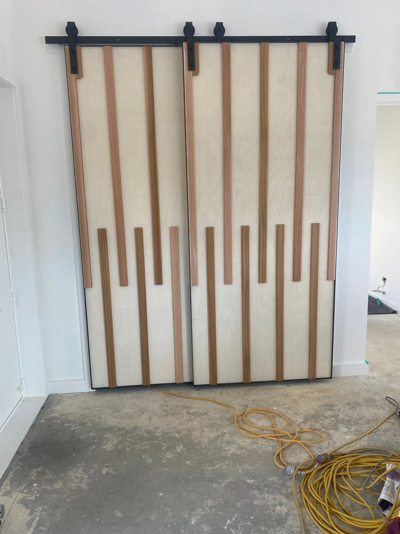 Barn door 2.jpg