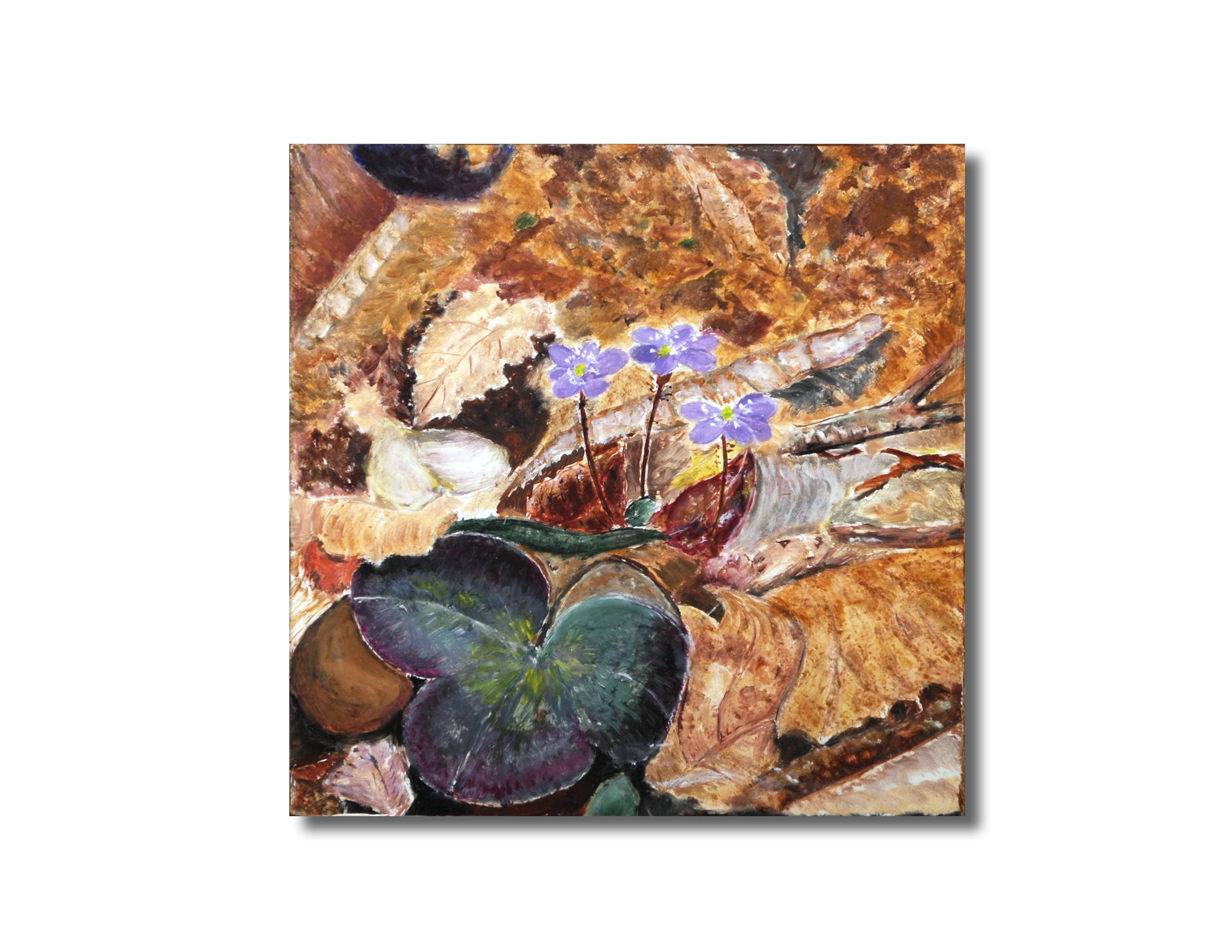 Hepatica