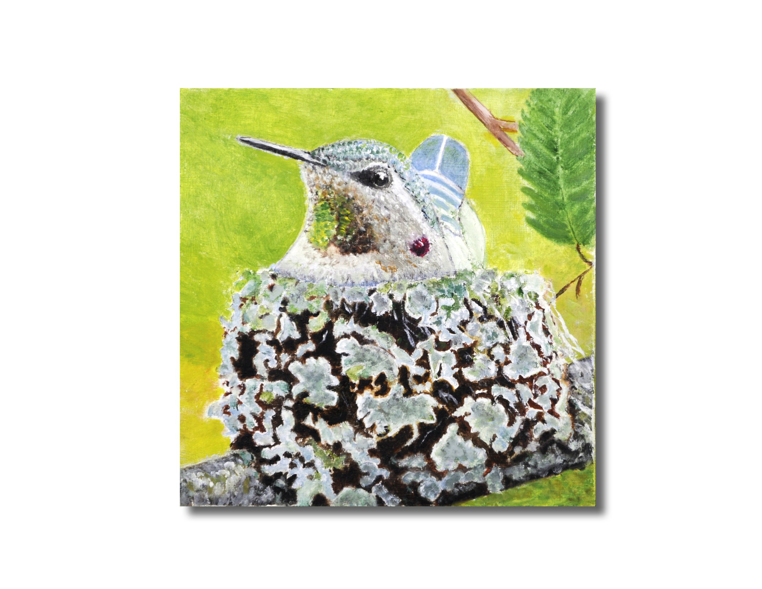 Hummingbird in Nest