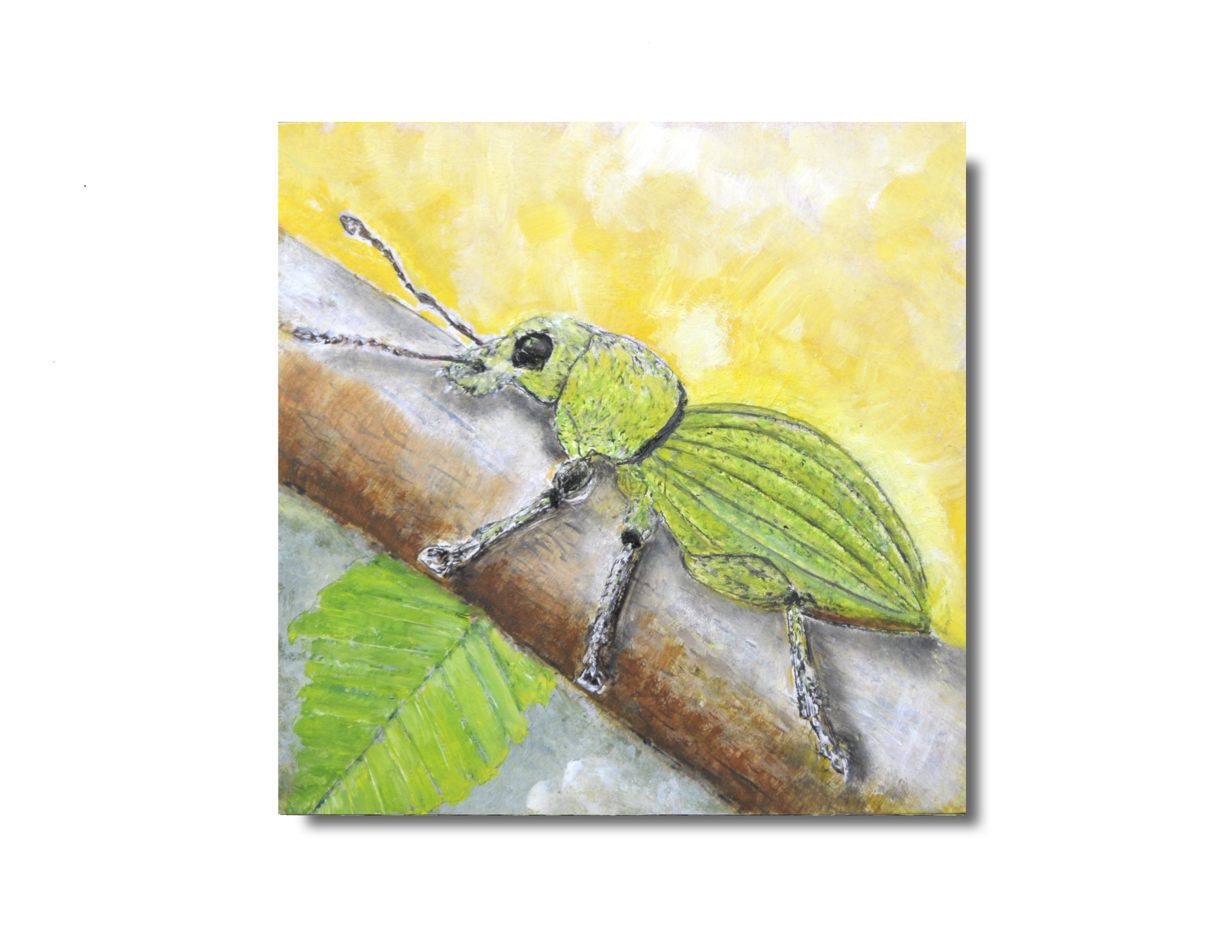 Weevil