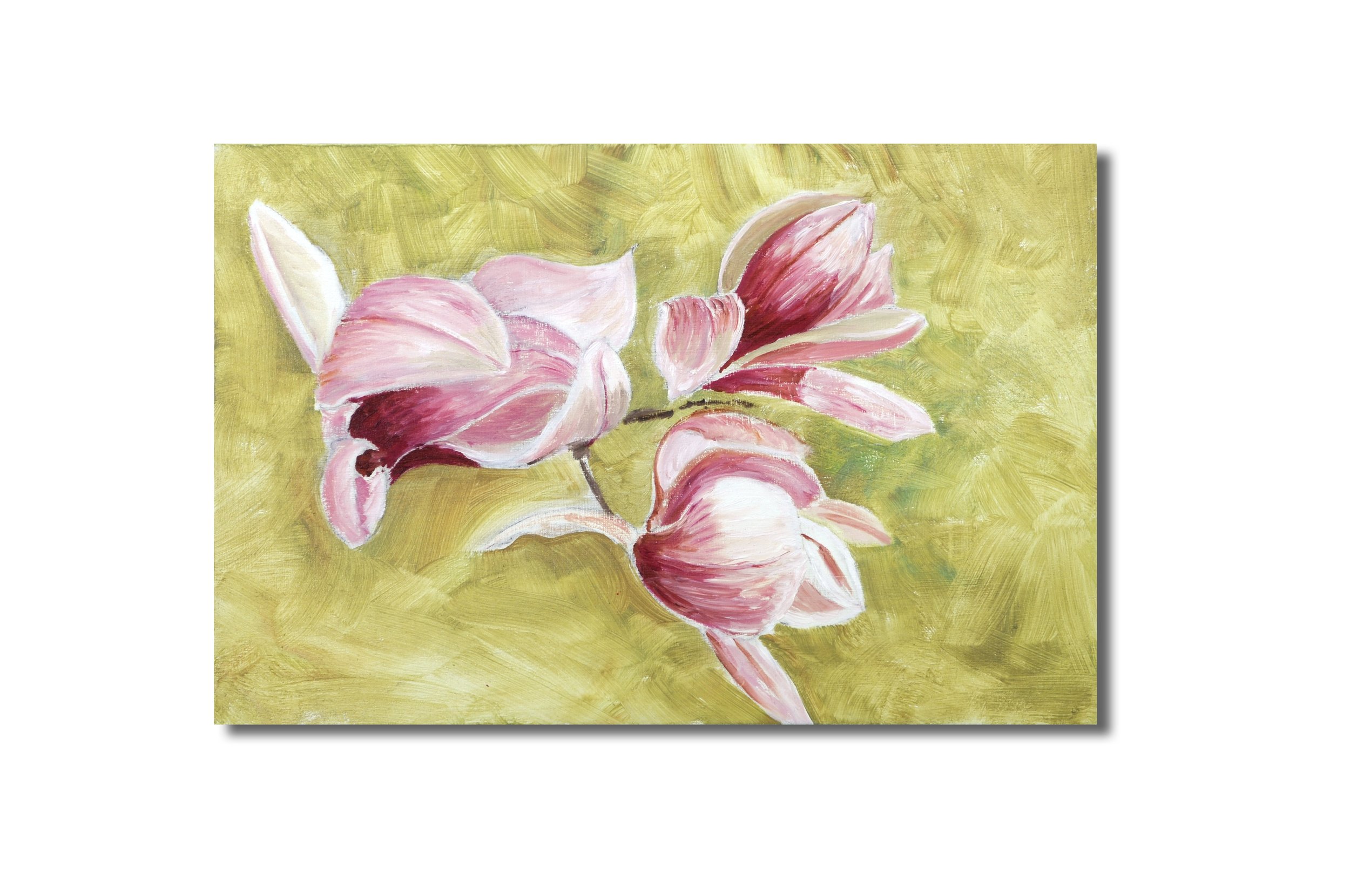 Magnolia Blossom