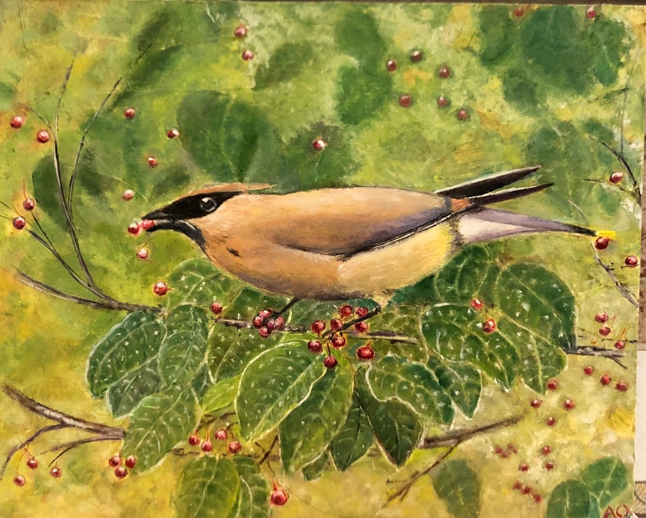 Cedar waxwing