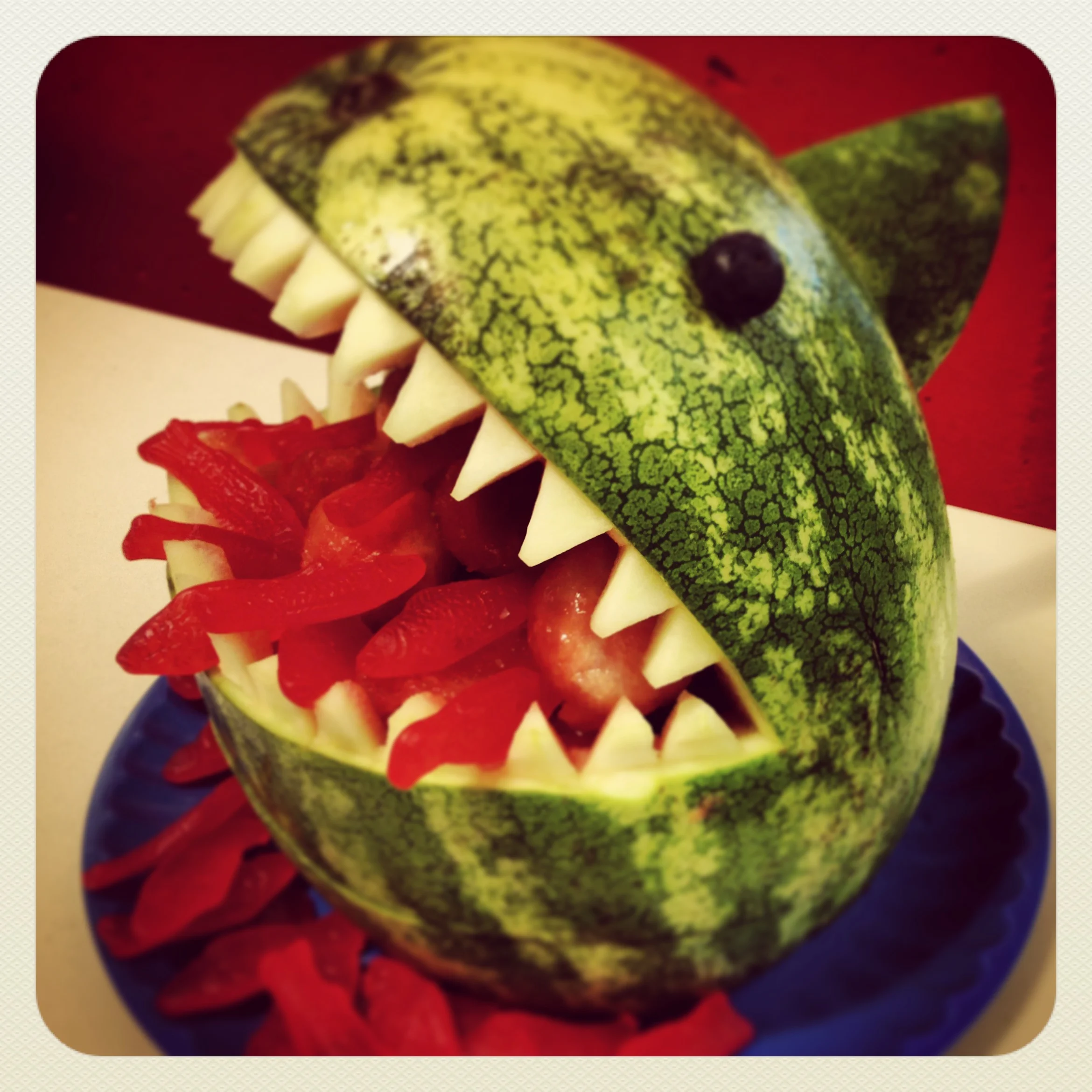  celebrated my first (and only) shark week at discovery with this watermelon shark 