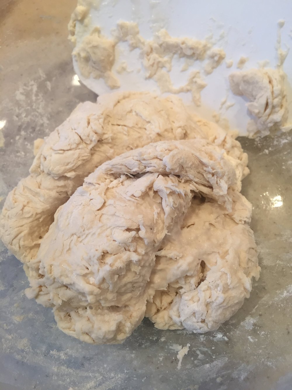 Yeasted Dough (detrempe)