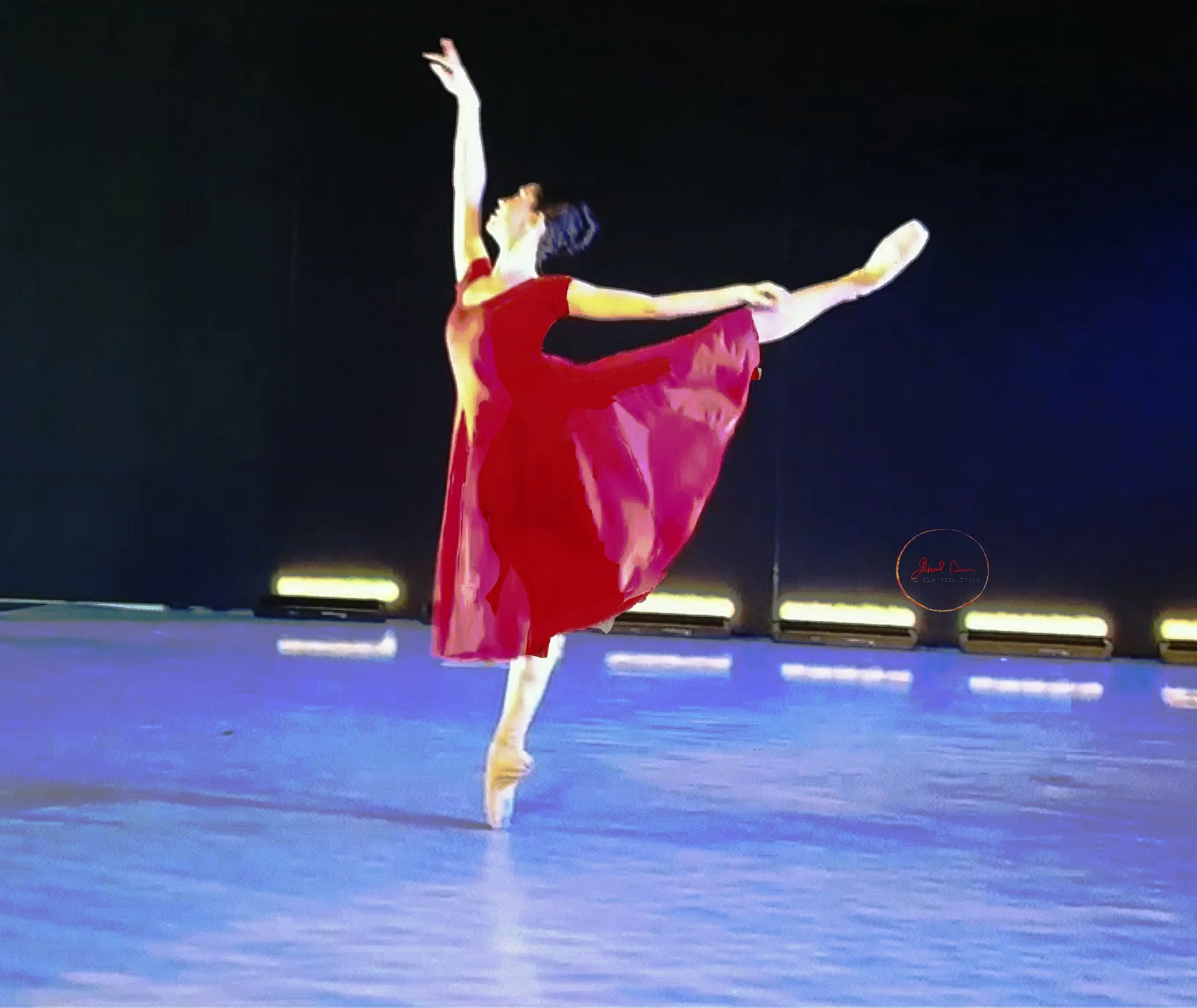 SDX.Wings of Water.6.8.24.BW.1.jpeg