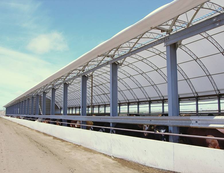 Picture8.jpg