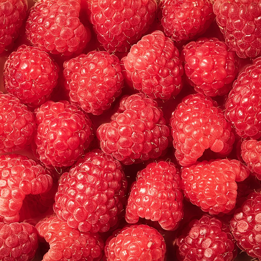 credits: photo- jenna gang, food styling - jason schieber description: close up shot of rasberries