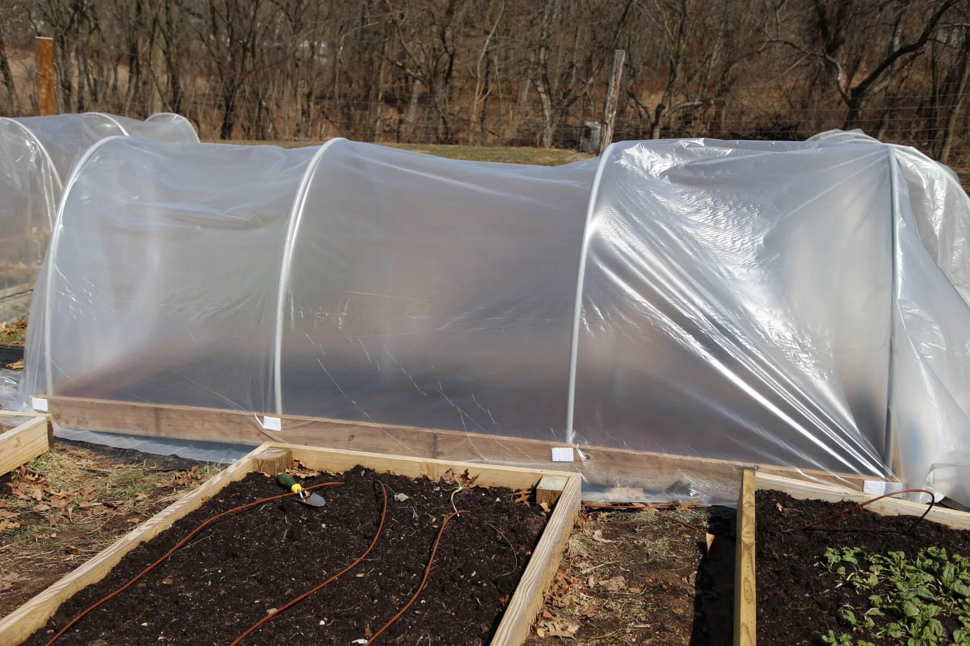 The completed coldframe, ready to go over a bed