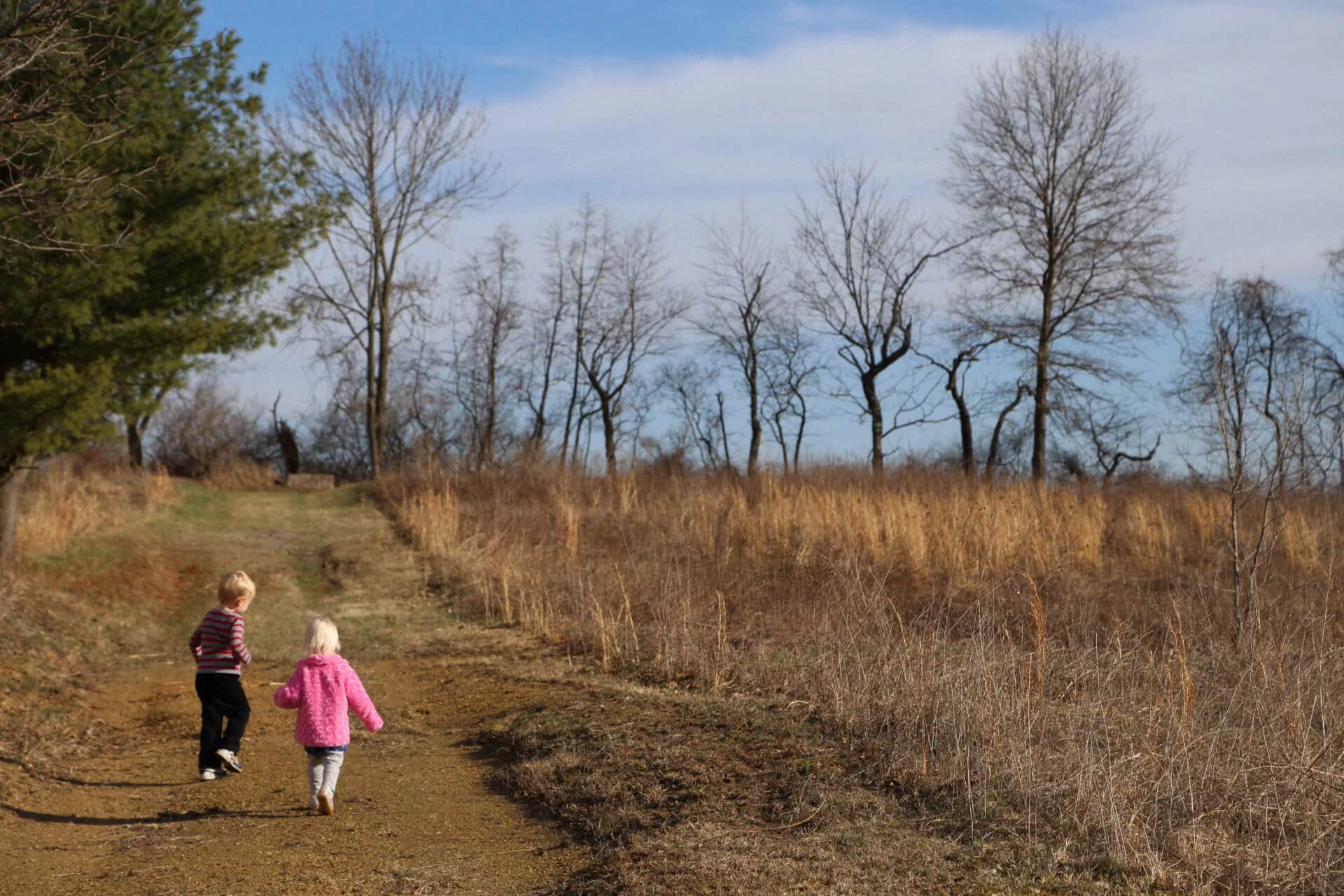 A postwinter stroll