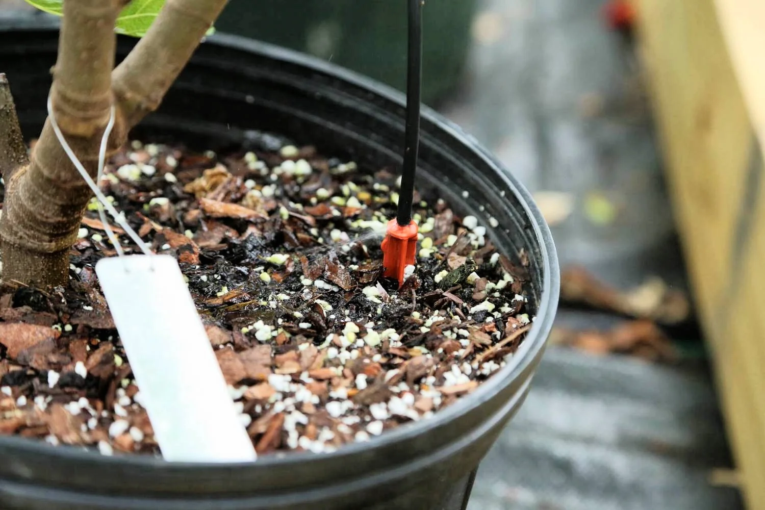 Setting up your own drip irrigation system - Threefold Farm