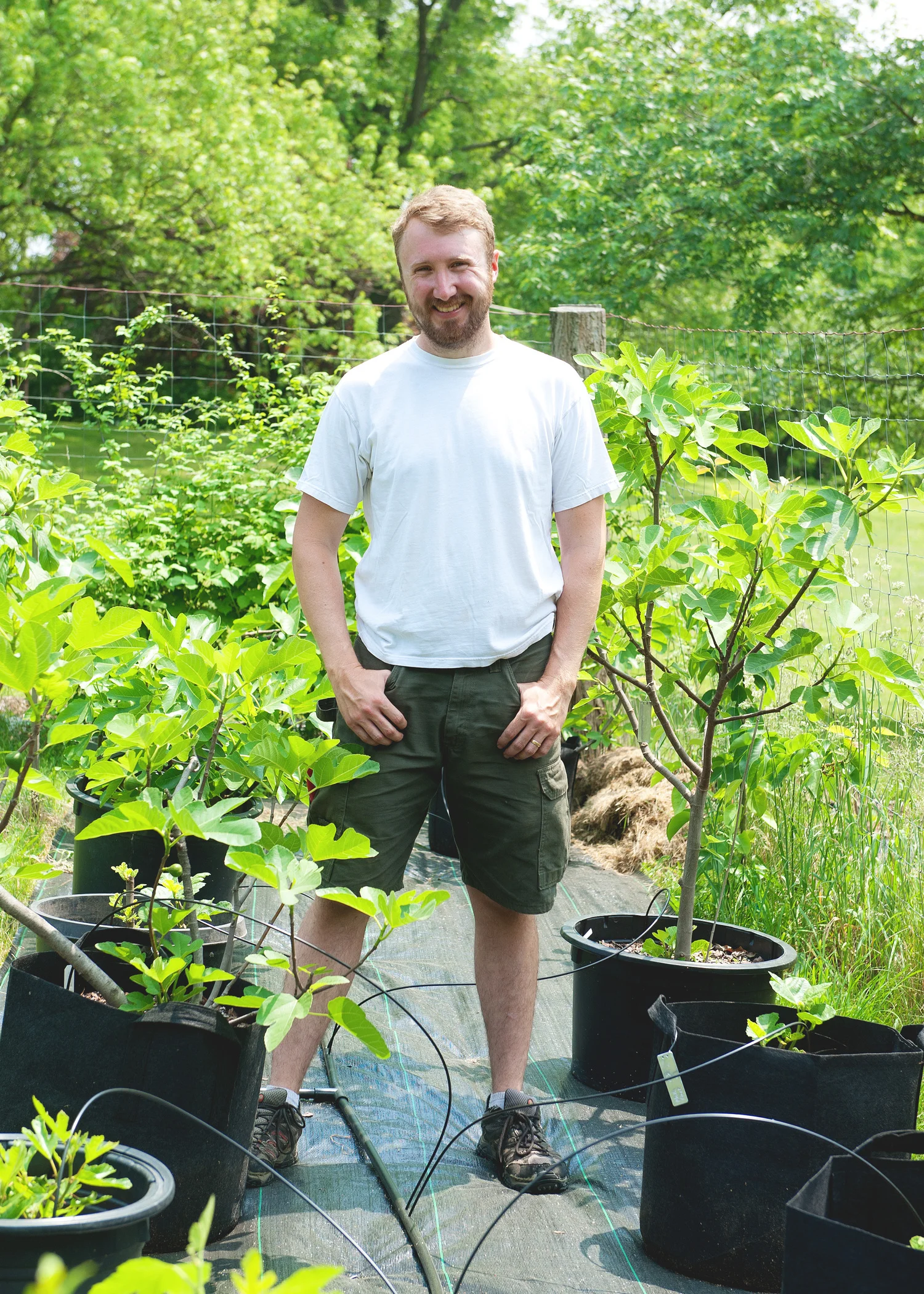 Standing in the same spot among those figs in early Spring.