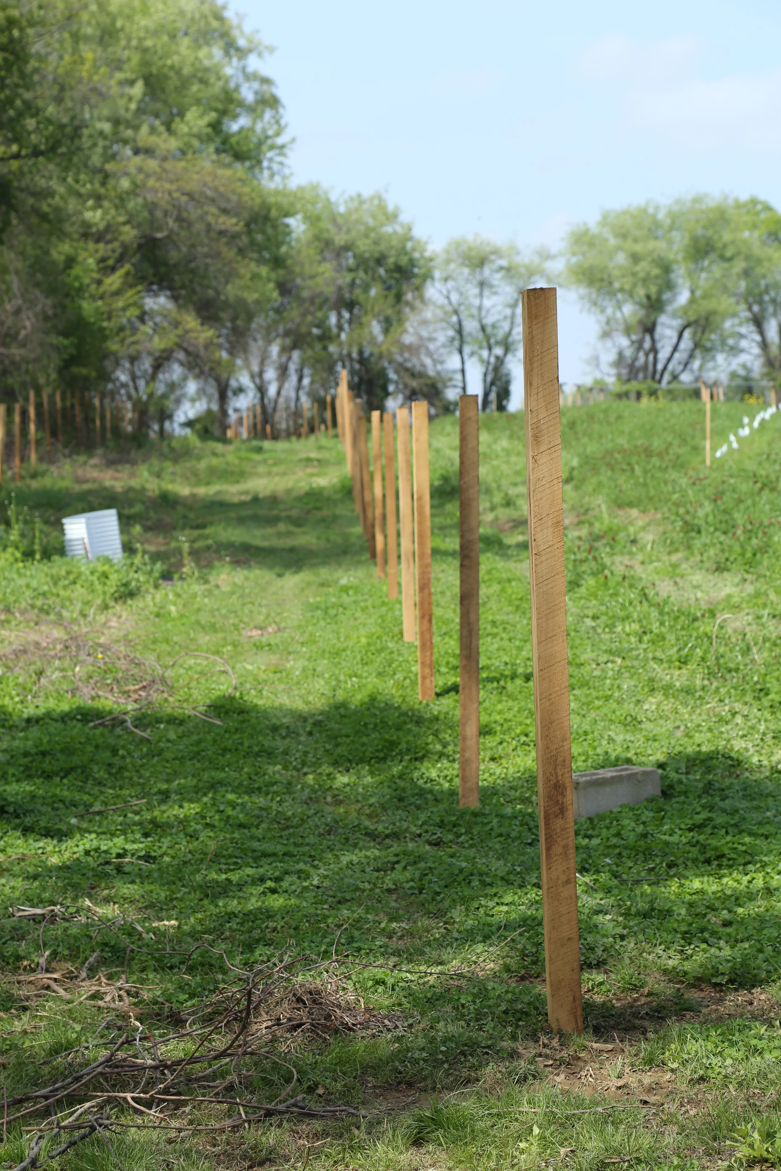 Posts pounded on our western fencerow