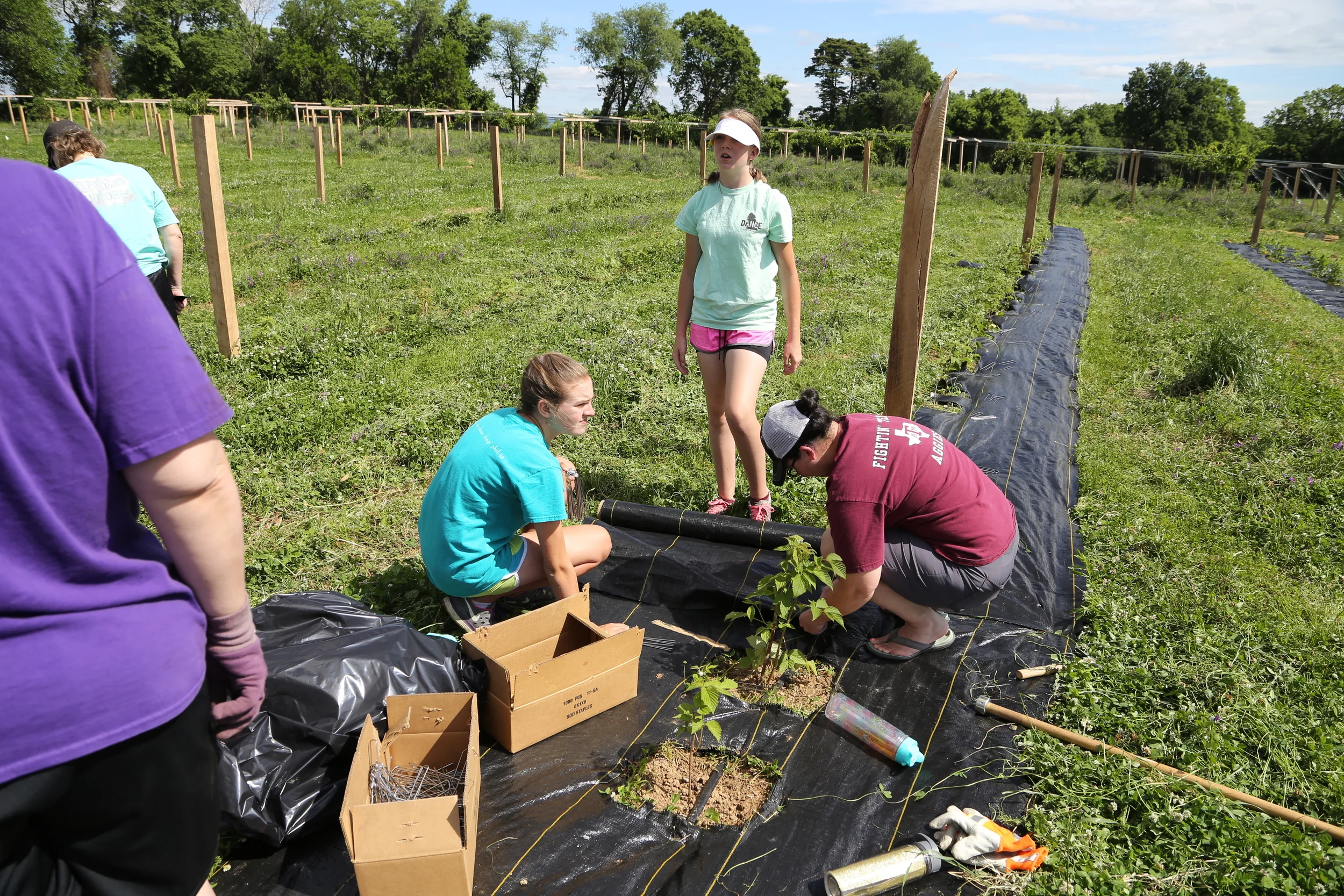Kari and crew hard at work putting down plastic. This was certainly one of the most trying jobs and we appreciated all that was done.
