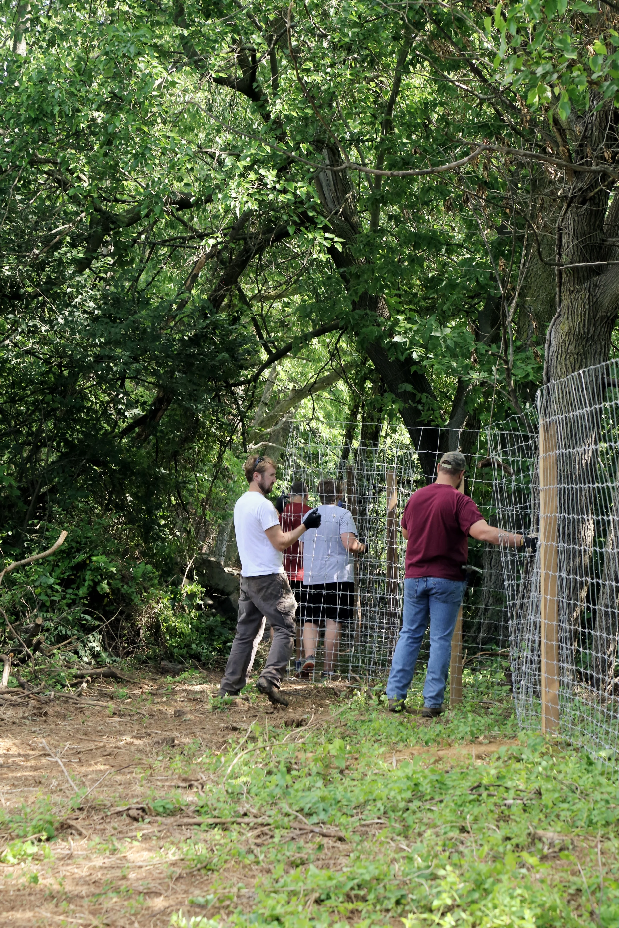The fencing crew working on the back rocky stretch of fence. This one went through a rocky hill, between trees, and down a hill. Took us all day but it was worth it to see it done.