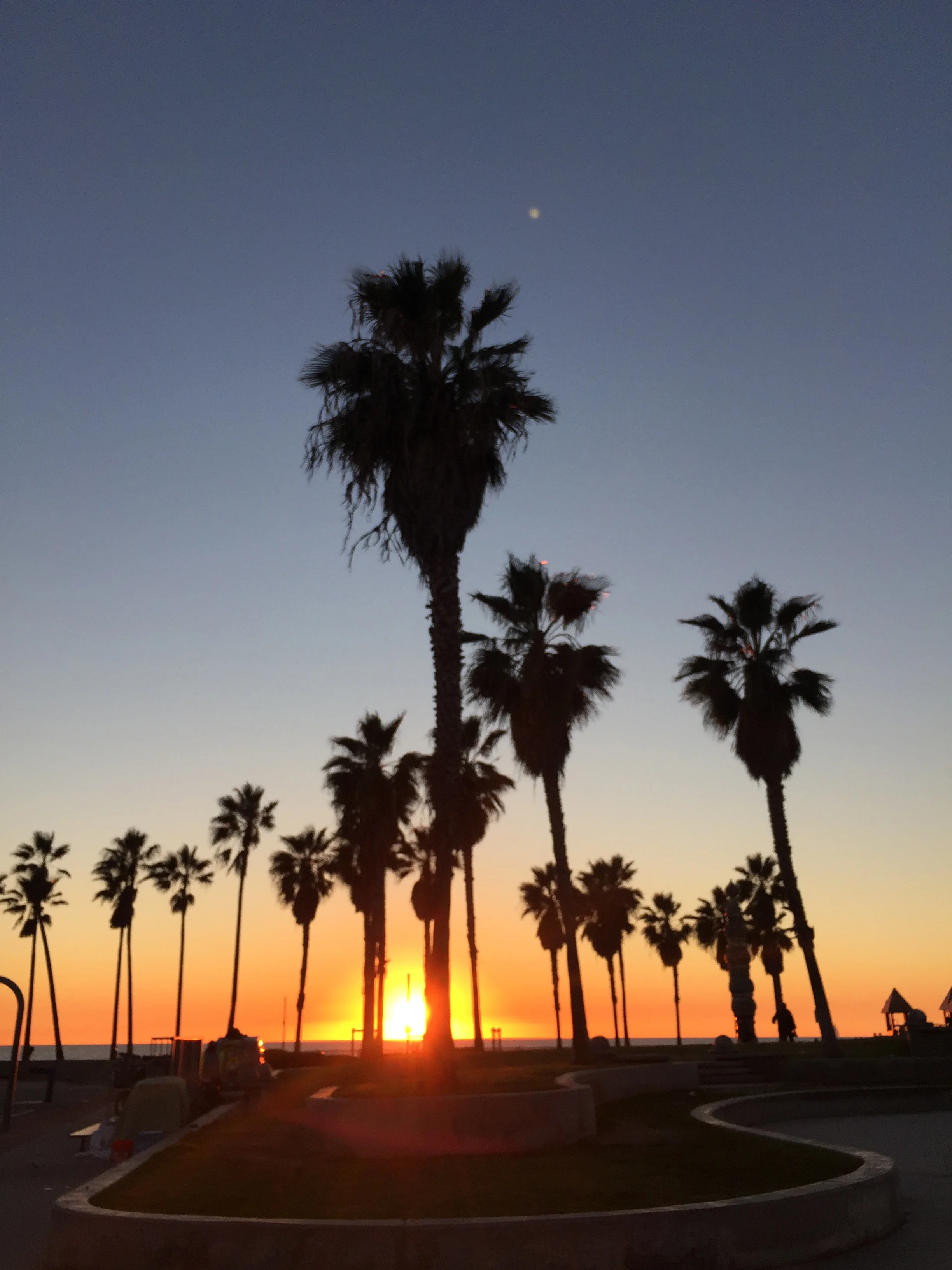 SUNSETS | VENICE BEACH