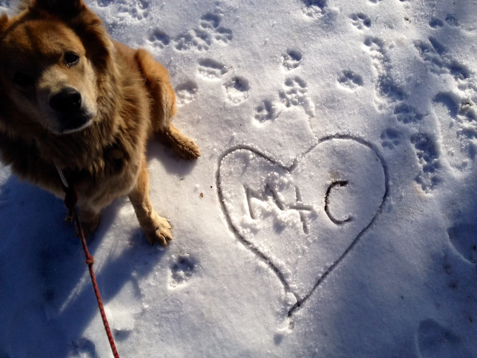 Fort Greene Park, Brooklyn, 2014