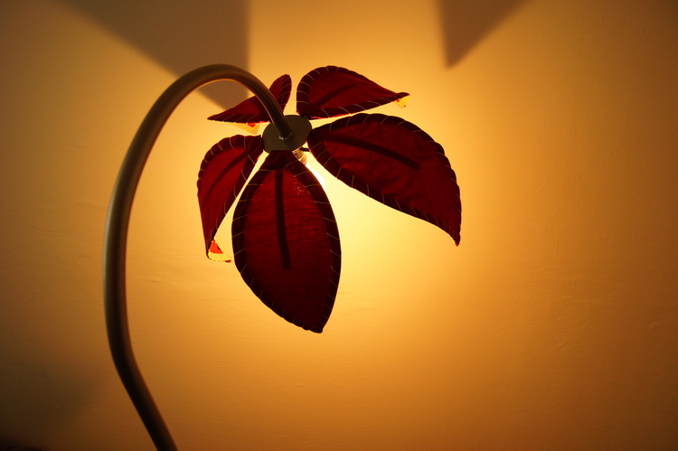 Mechanical engineer who creates products that are BEAUTIFUL AND FUNCTIONAL. See my projects