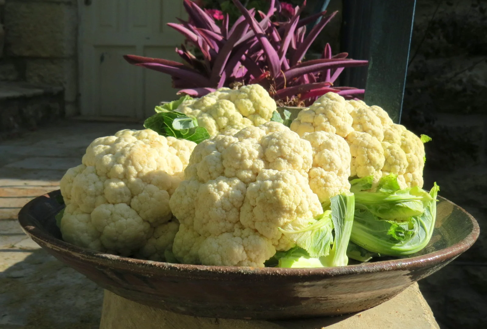 Baked Cauliflower 