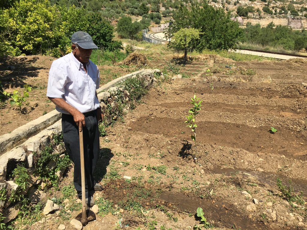 Planting new seeds in a field beneath the village of Battir, a World Heritage listed area. The field is being reclaimed for the Seed Library project by another hardy elderly farmer. Abu Elabed uses only 2 pieces of equipment - a hoe and a rake. The railway track at the bottom of the field is where the Jerusalem-Tel Aviv train runs. 