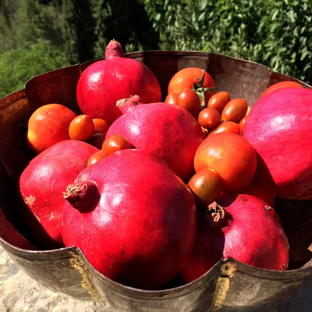 tomatoes and pomegranates