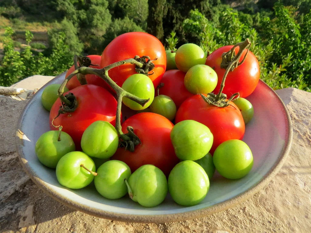 tomato and green plum salad
