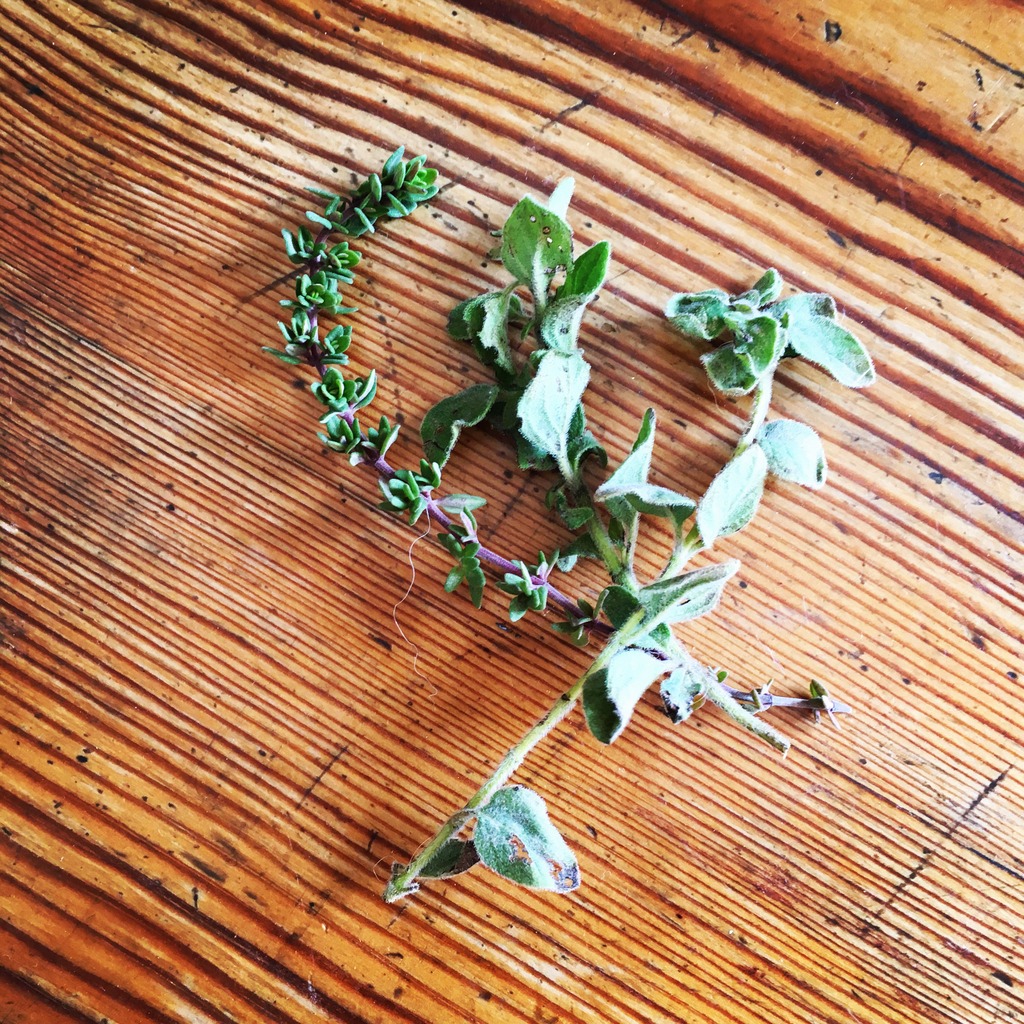 Fresh thyme and zaatar