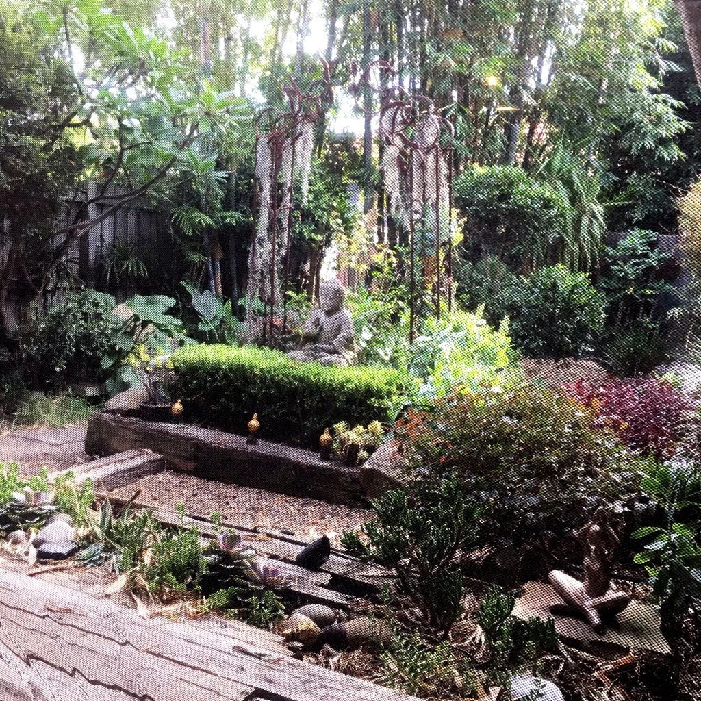 ACS_0085.jpg