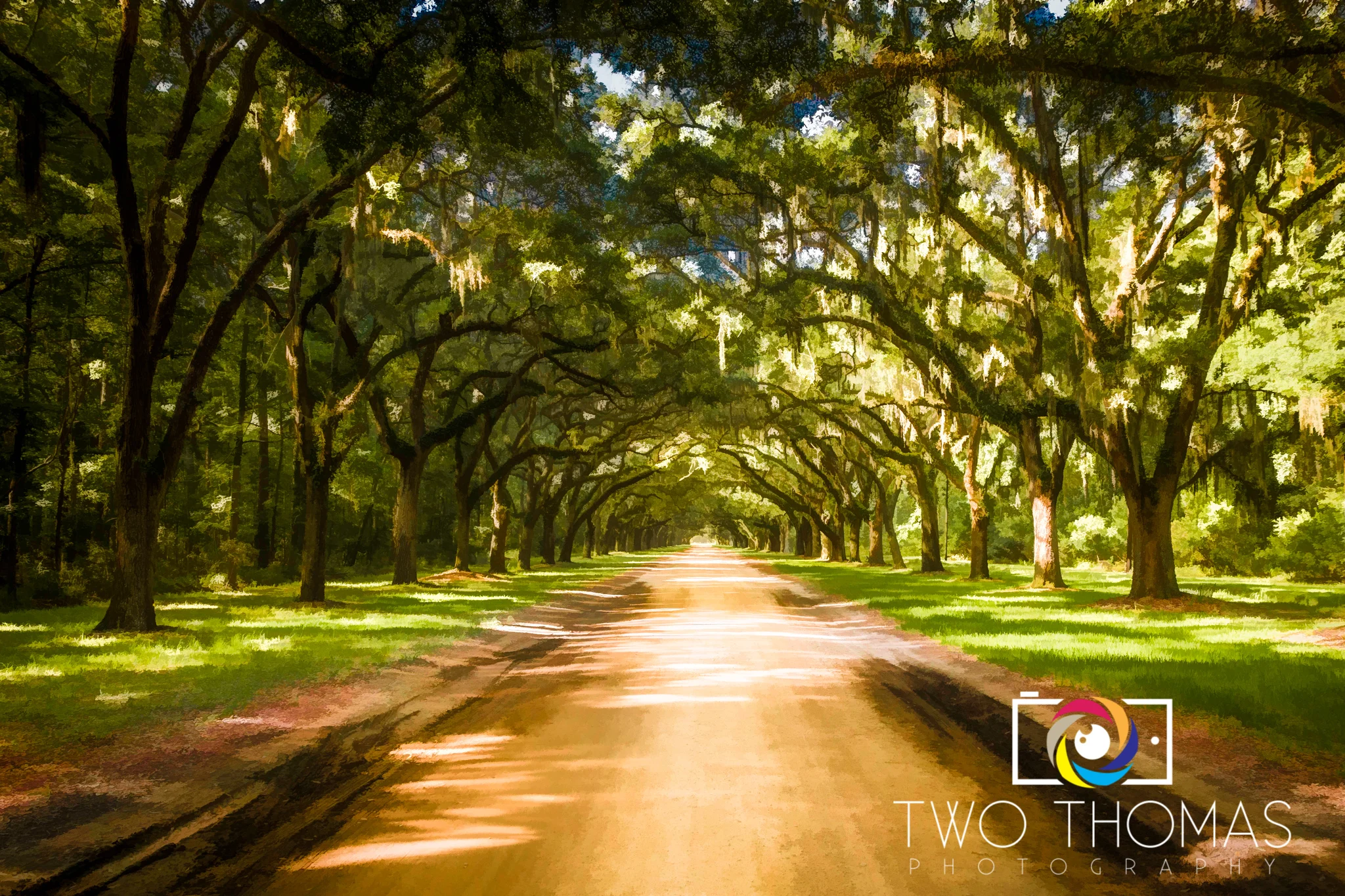 The tree-lined entrance into the Wormsloe Historic Site in Savannah is simply breathtaking!