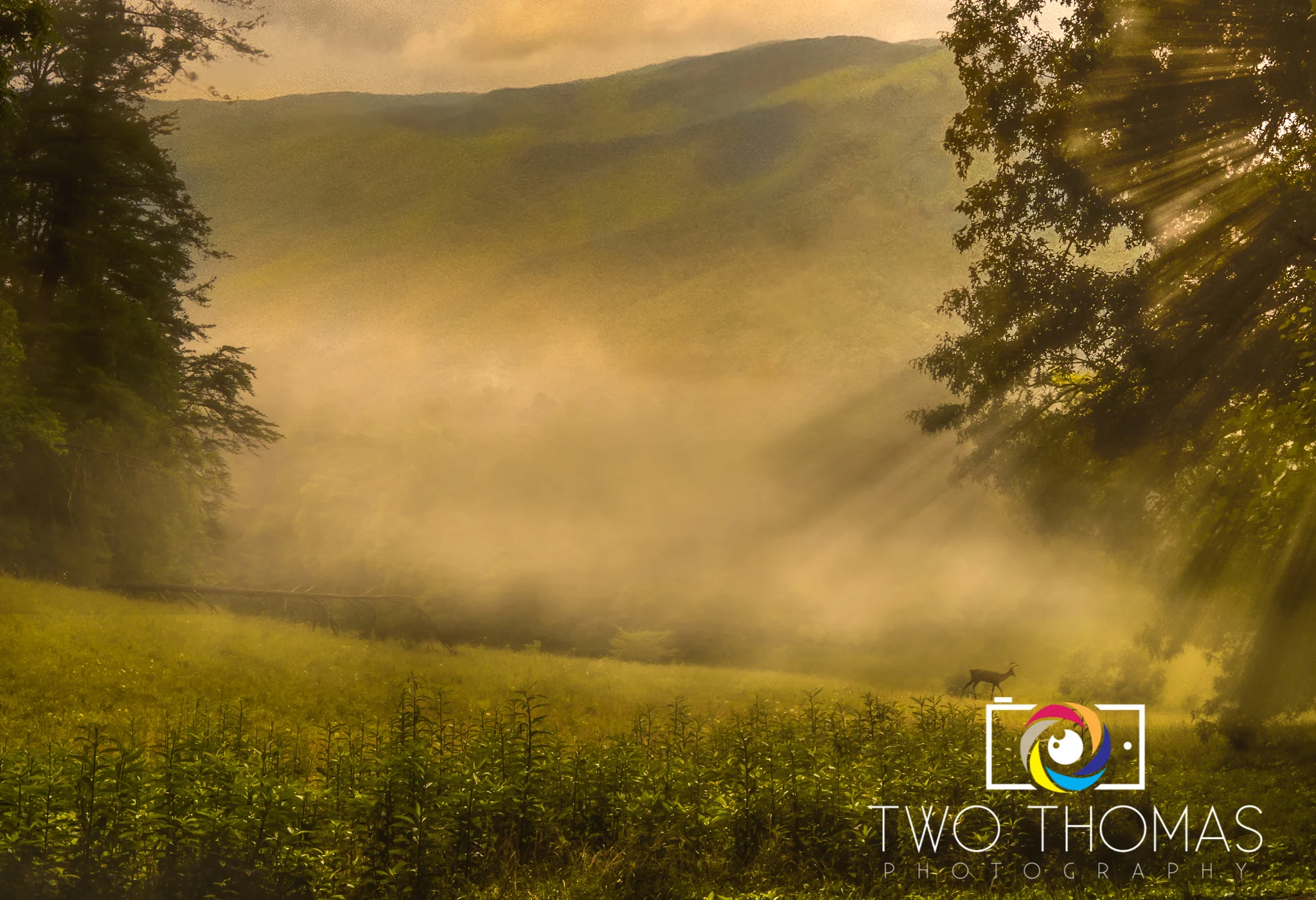 An artistic Conposite from a few of our travel photos.