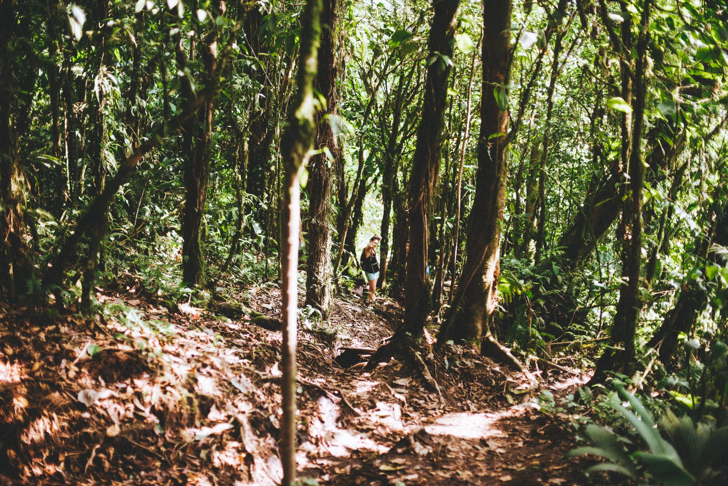 DSC_3954.jpg