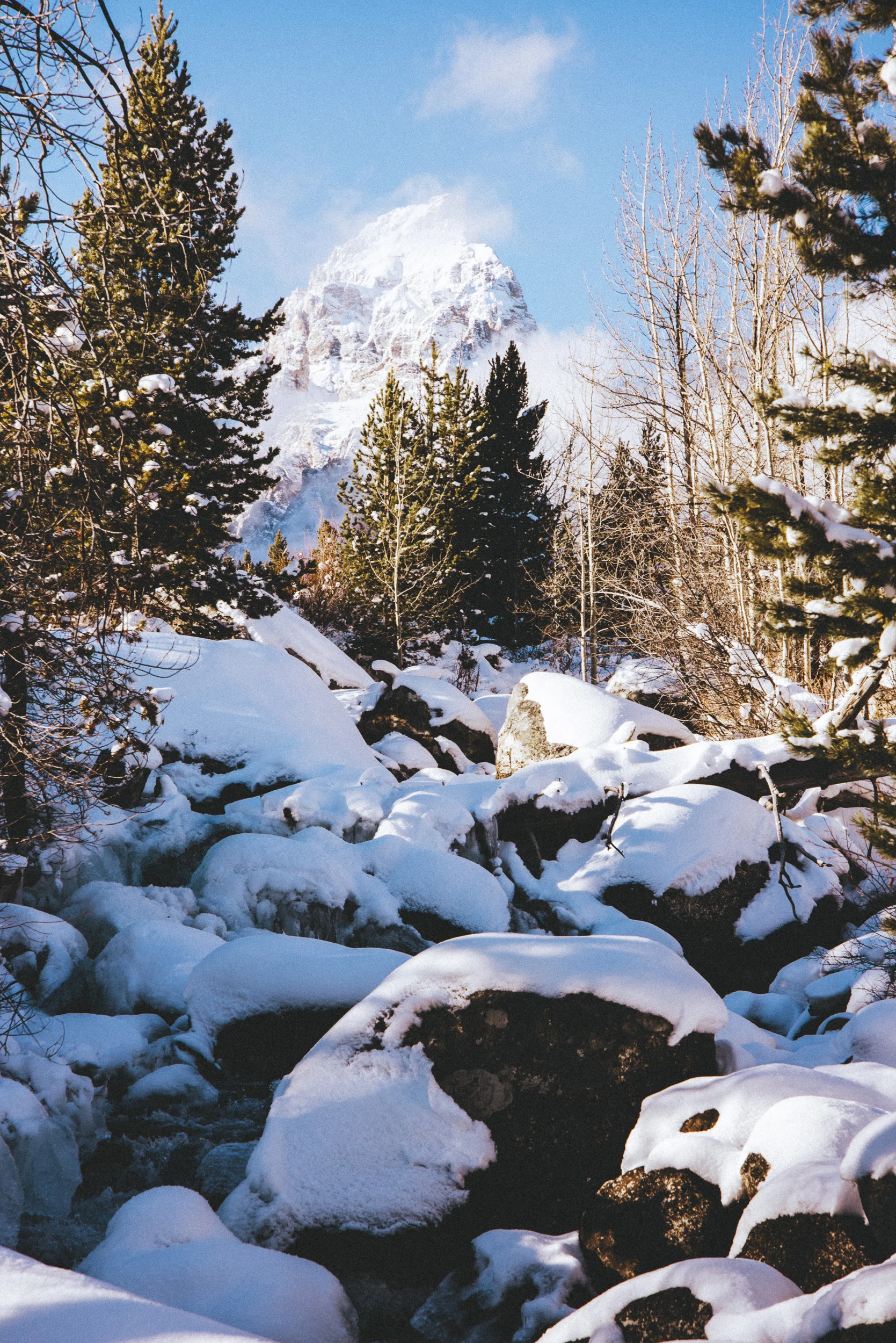DSC_1107.jpg