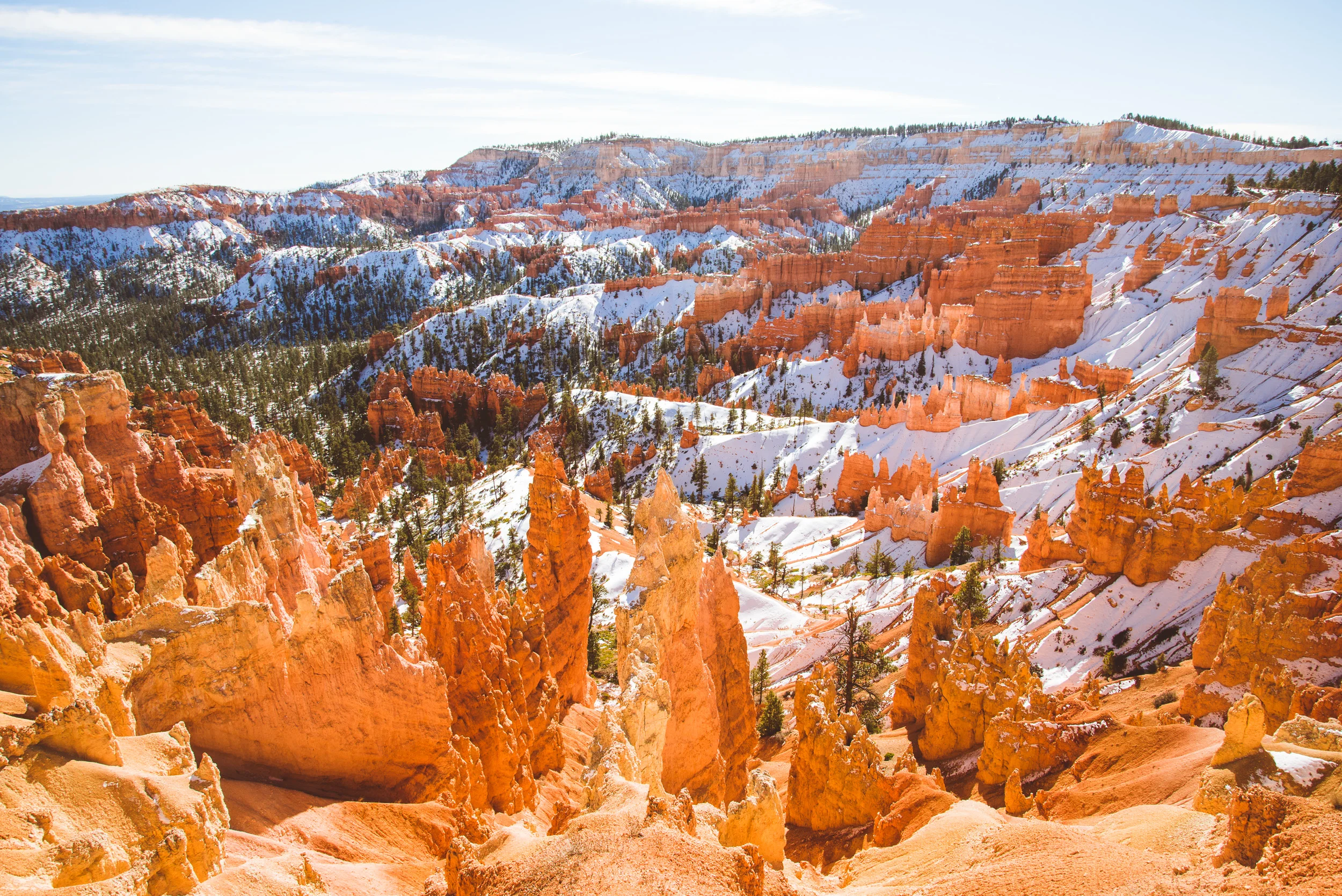 DSC_1976-2.jpg