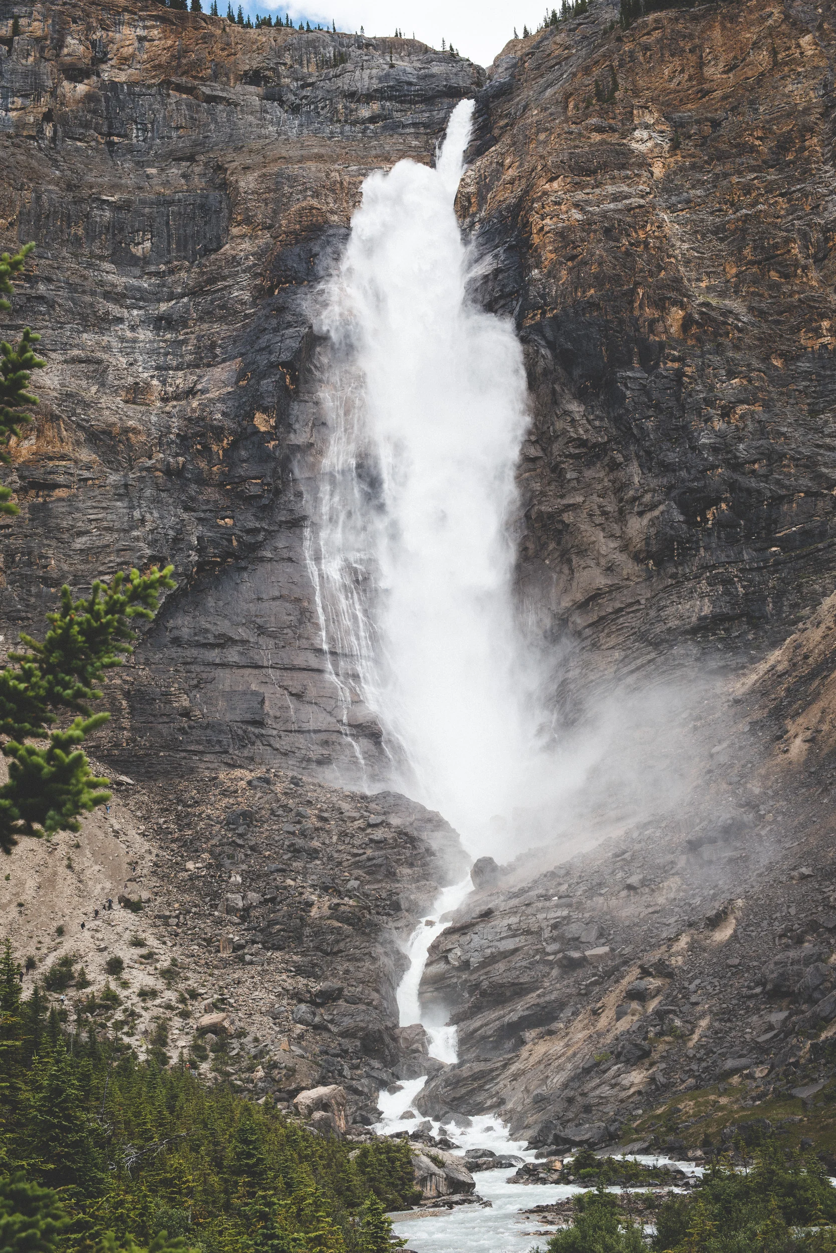 DSC_0562.jpg