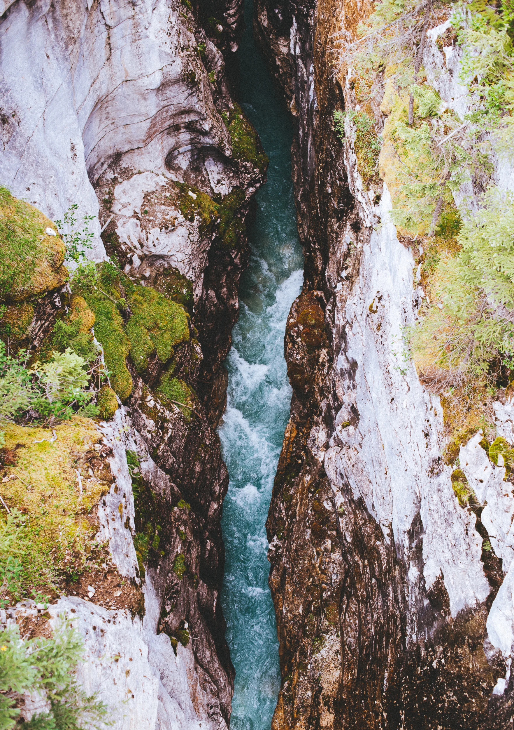 DSC_0123.jpg