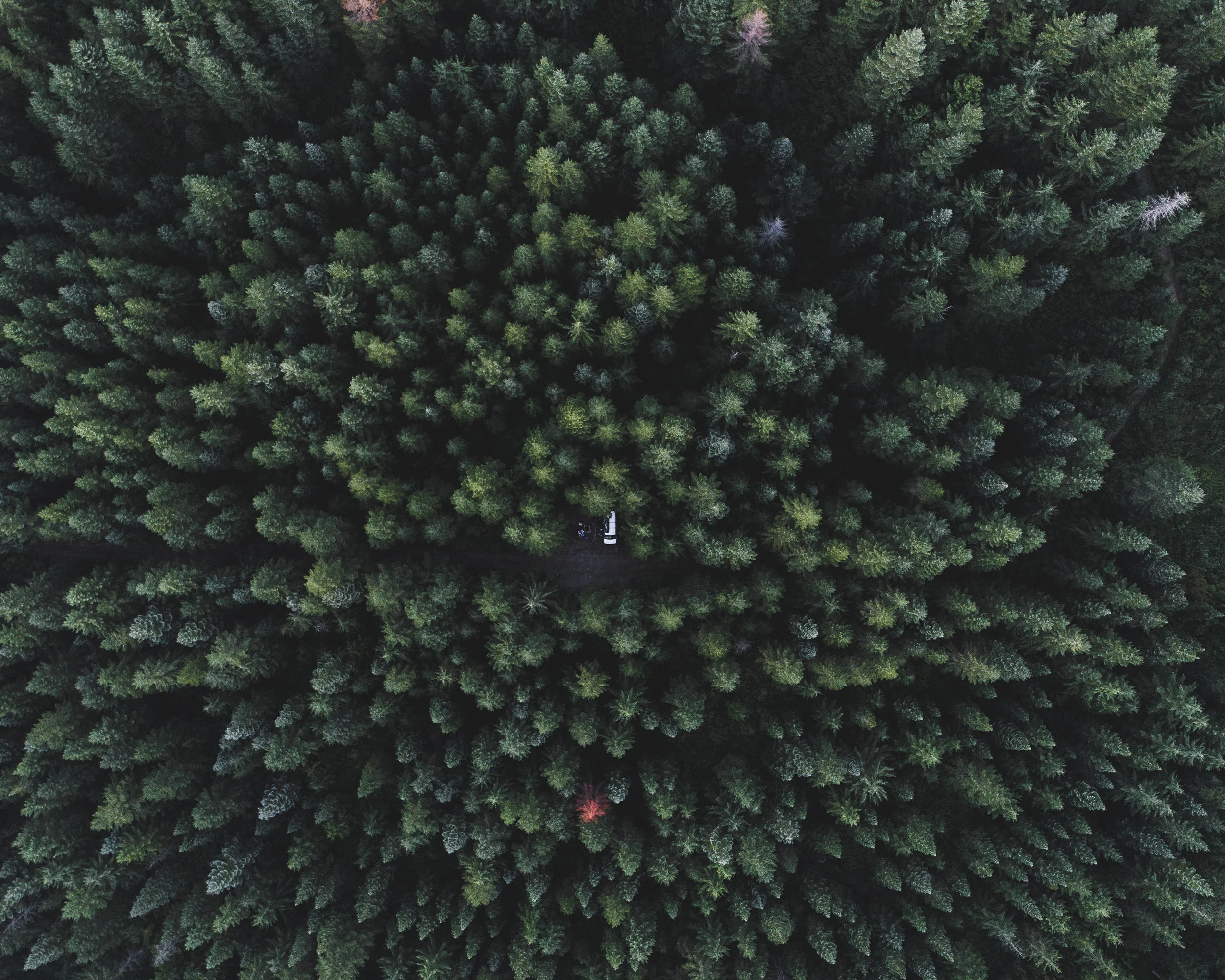 DJI_0021.jpg