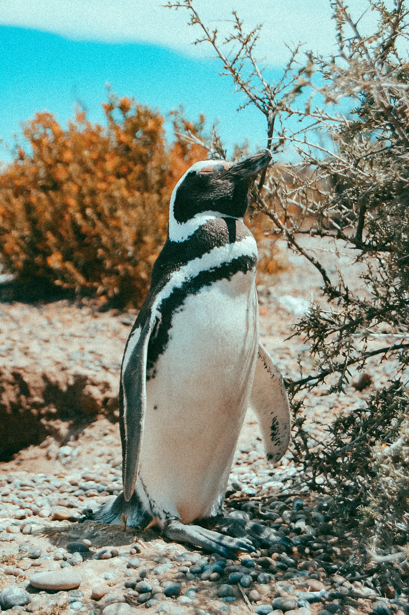 DSC_3741.jpg