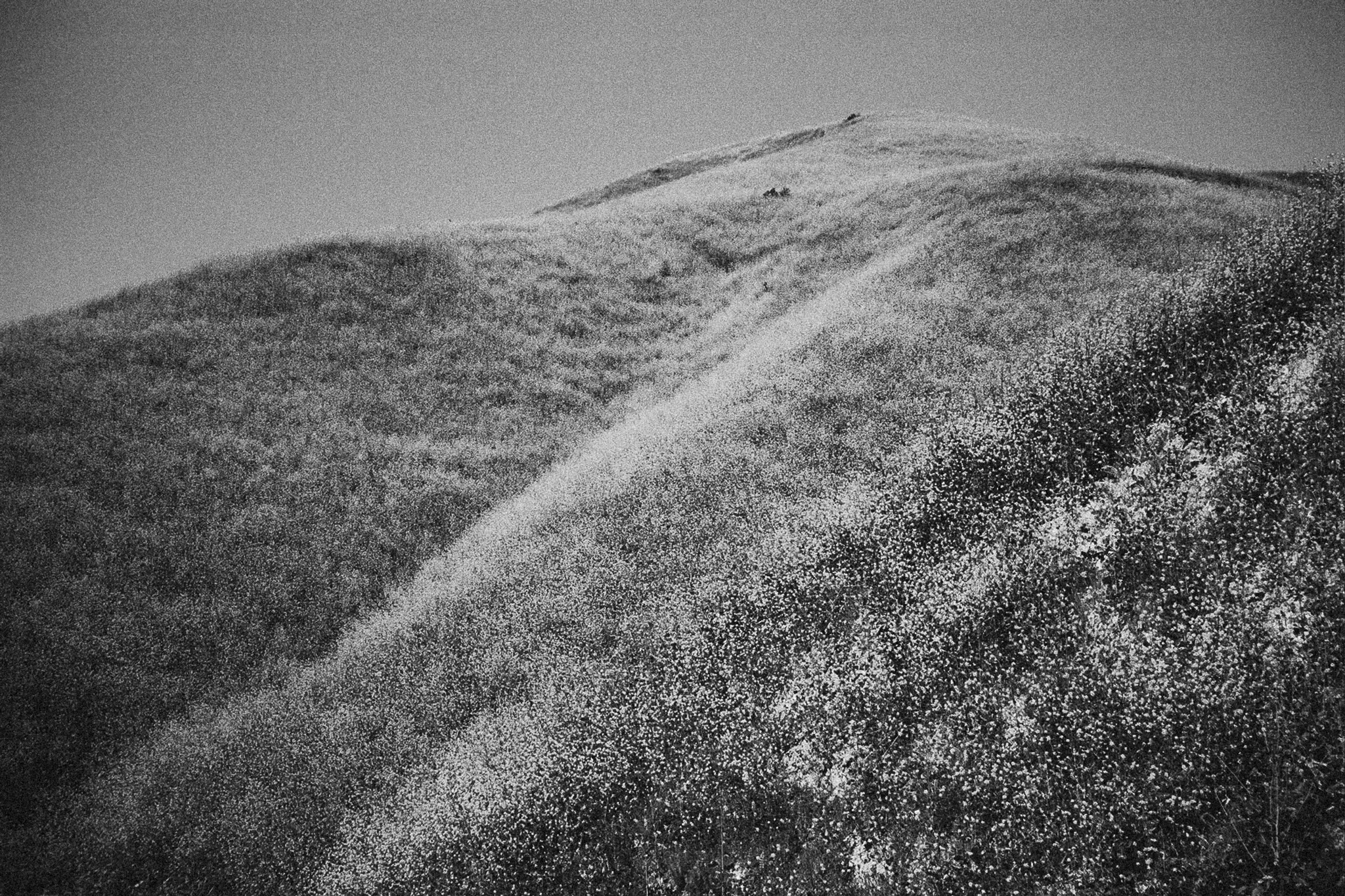 _36_0126-2.jpg